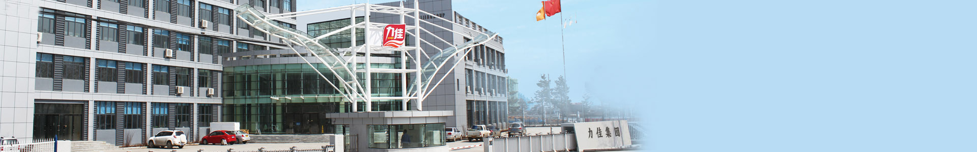 全网担保网集团